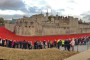 Blood Swept Lands and Seas of Red at the Tower of London